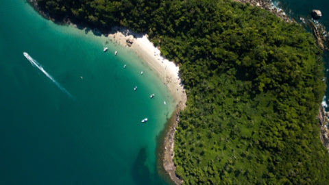 Aerial View Dense Forest Tropical Island